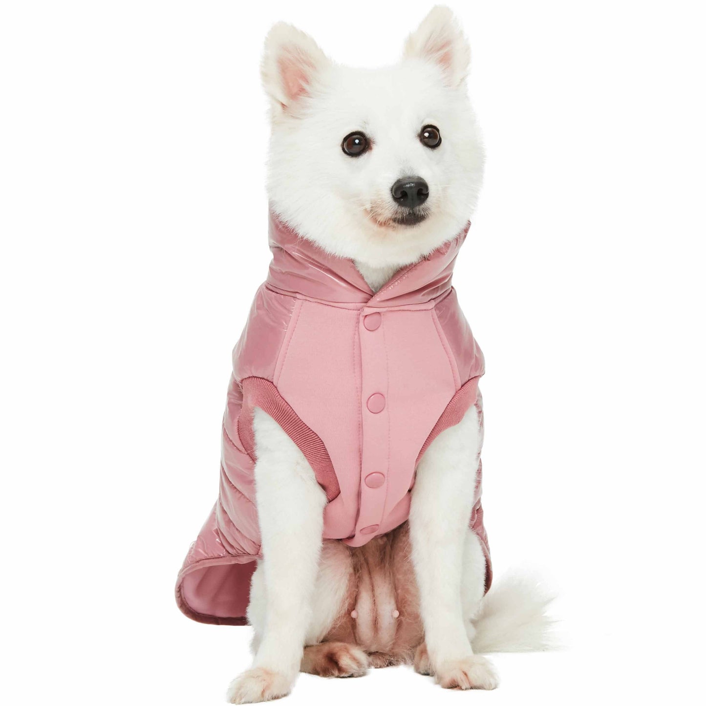 Quilted Glossy Puffer Jacket