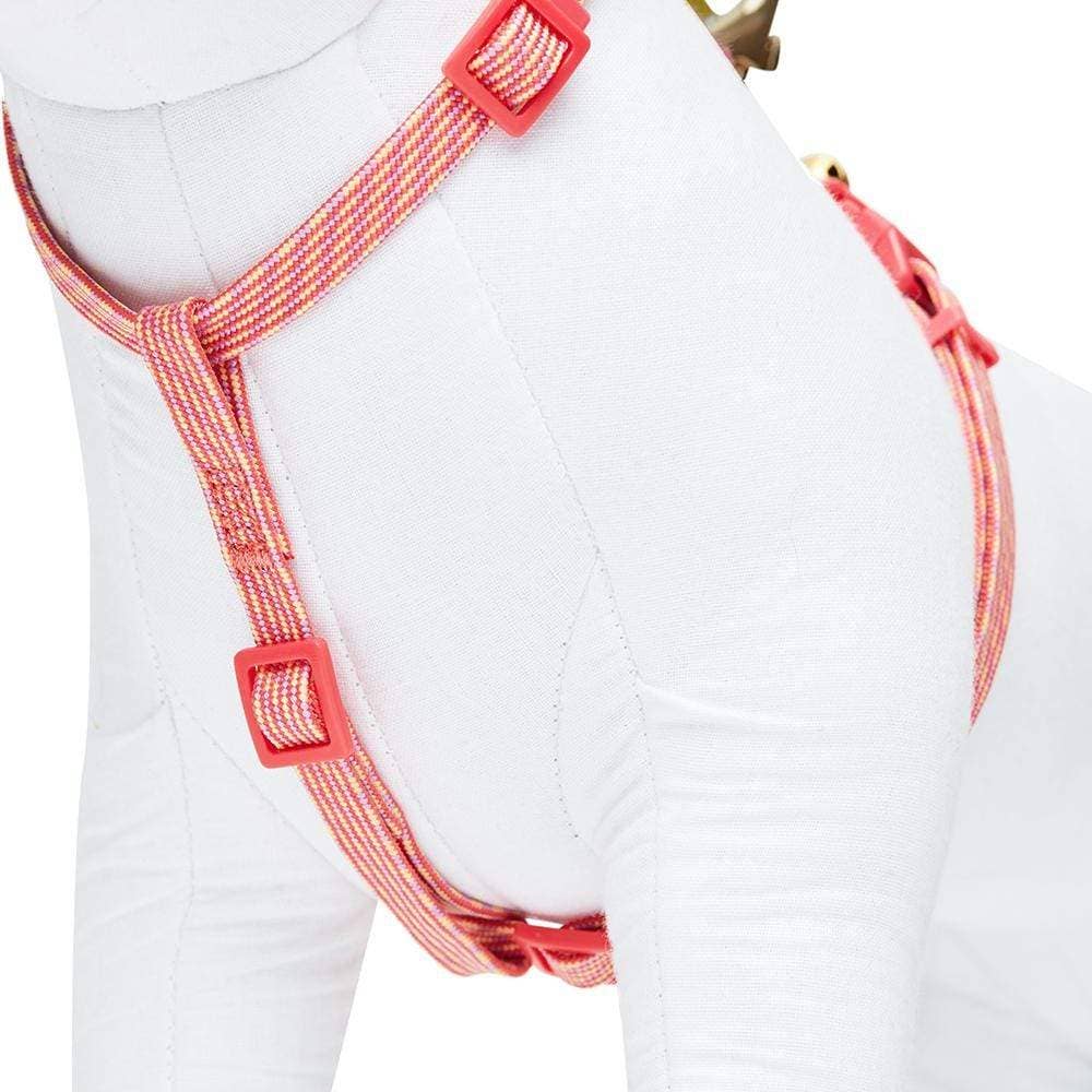 Cat Adventure Leash & Harness Set