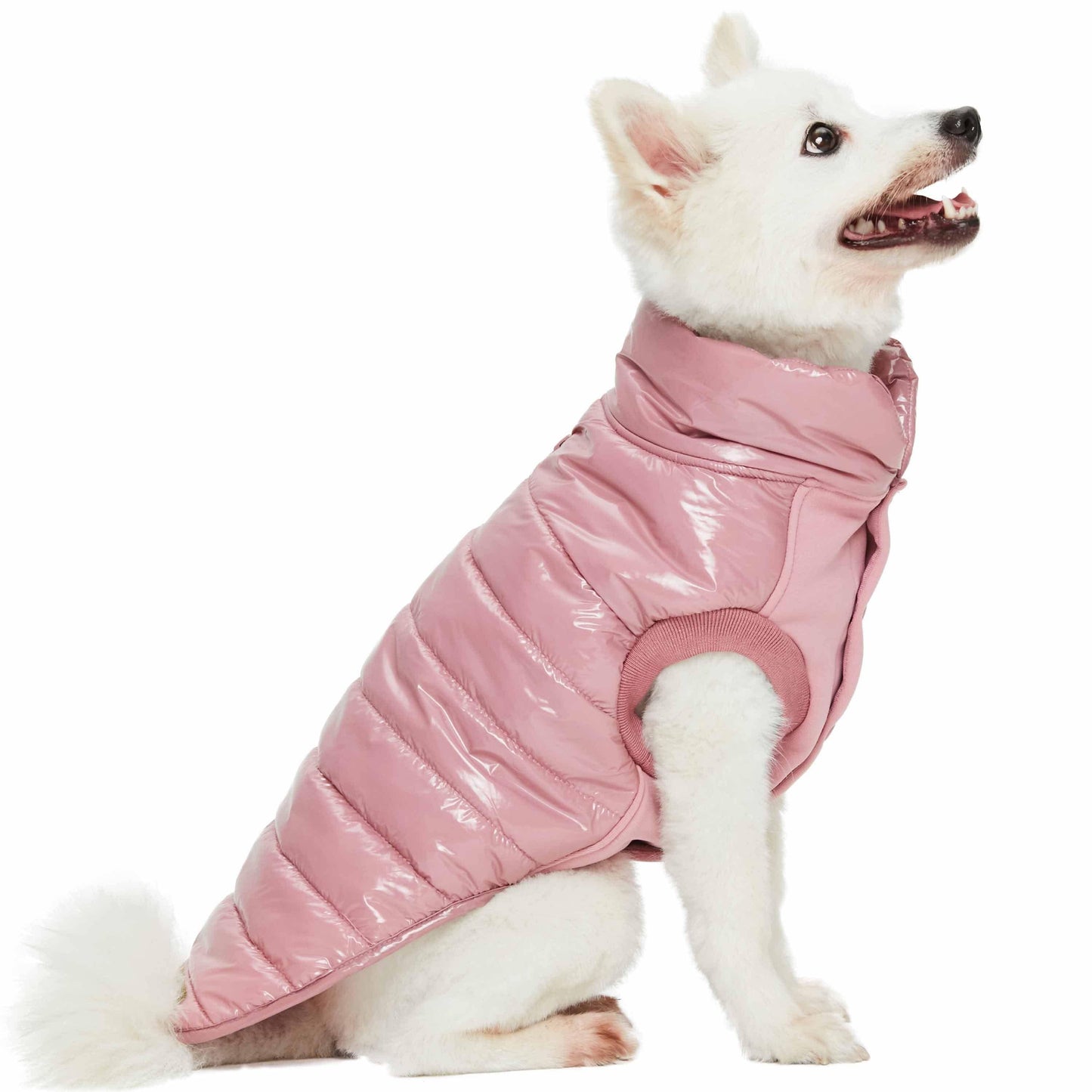 Quilted Glossy Puffer Jacket