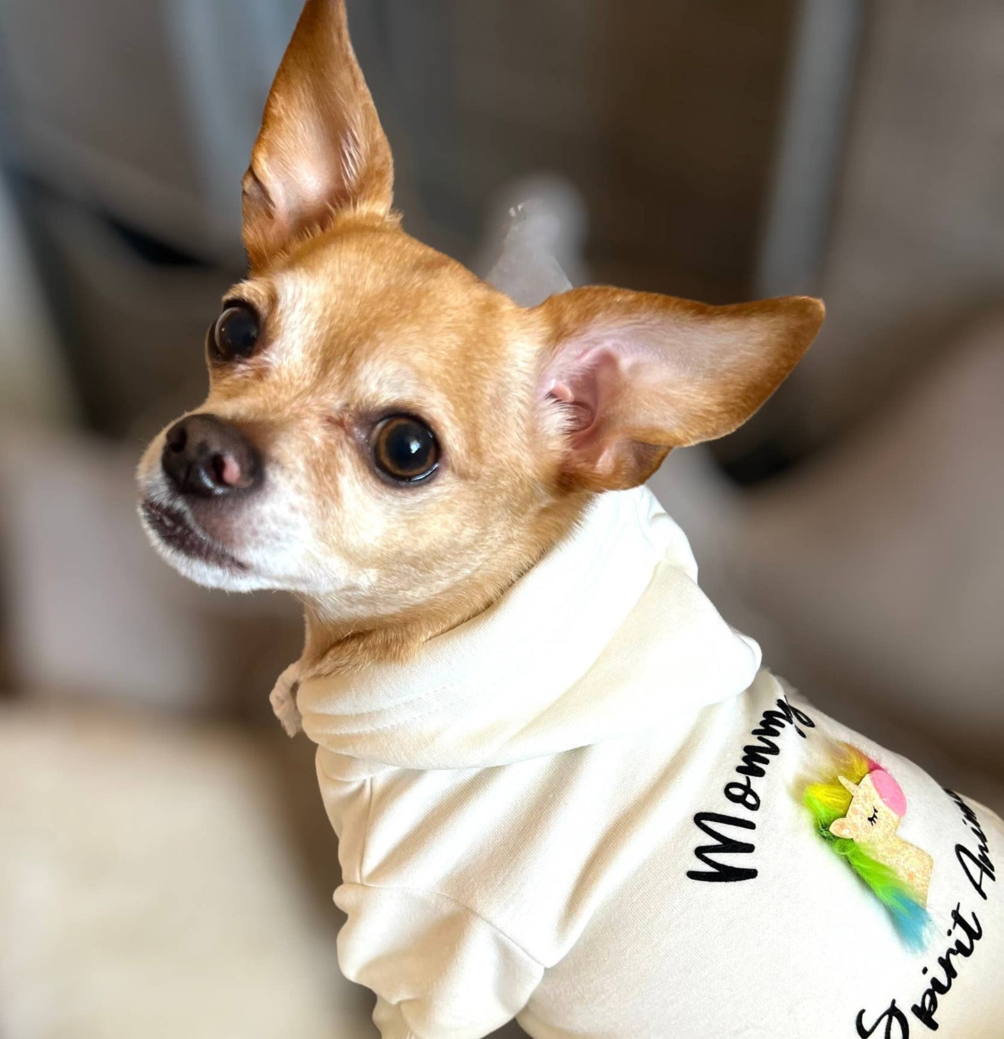 Mommy's Spirit Animal Hoodie