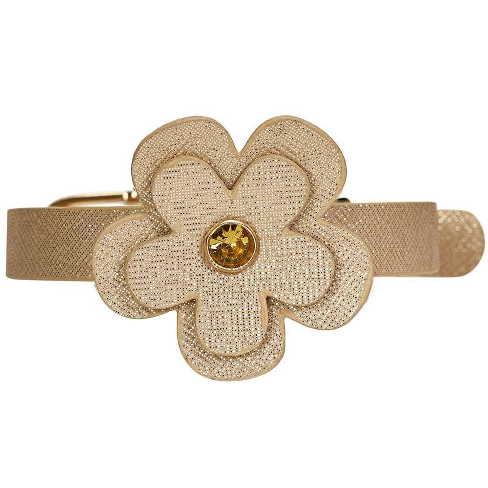 Gold Leather Cat Collar