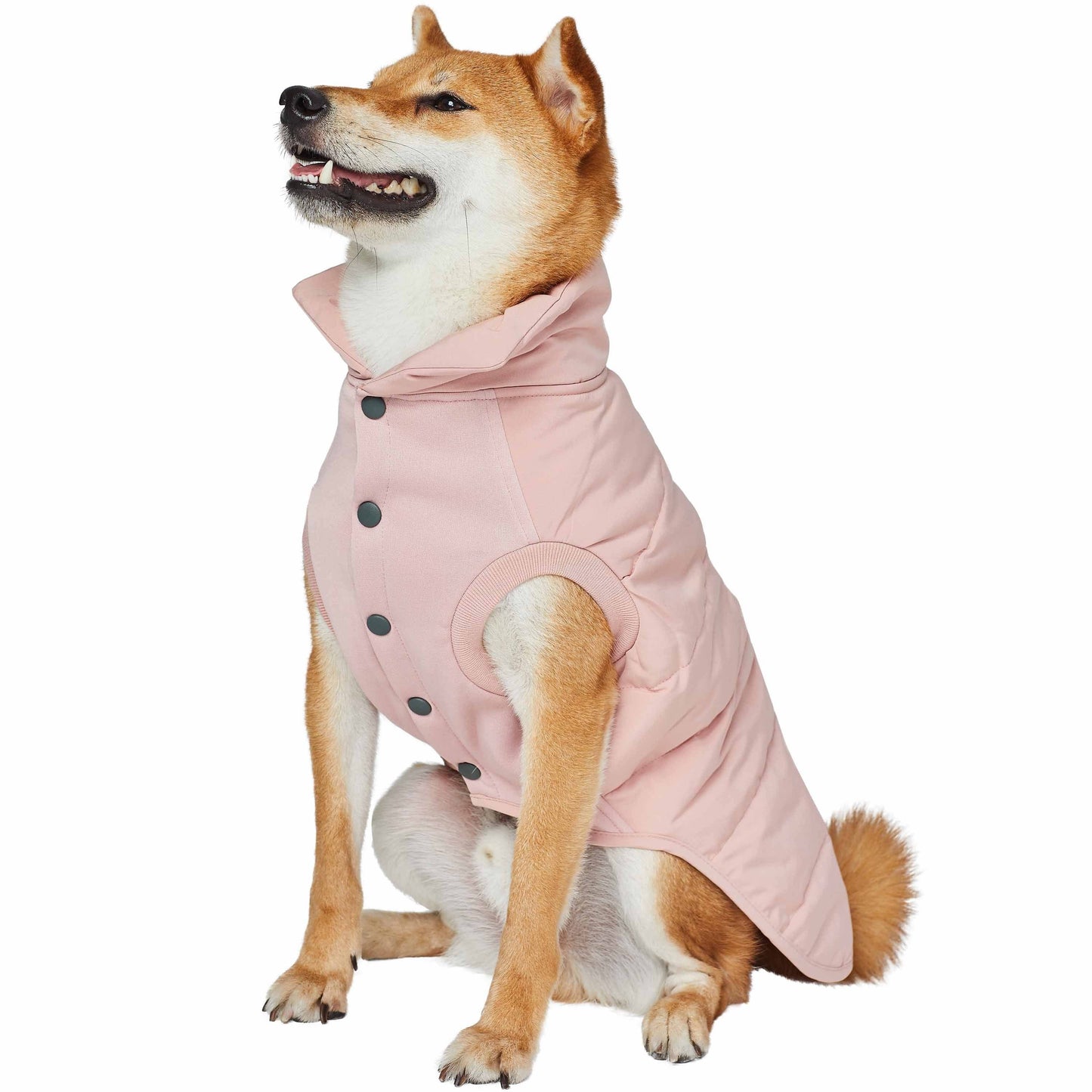 Blueberry Waterproof Quilted Jacket