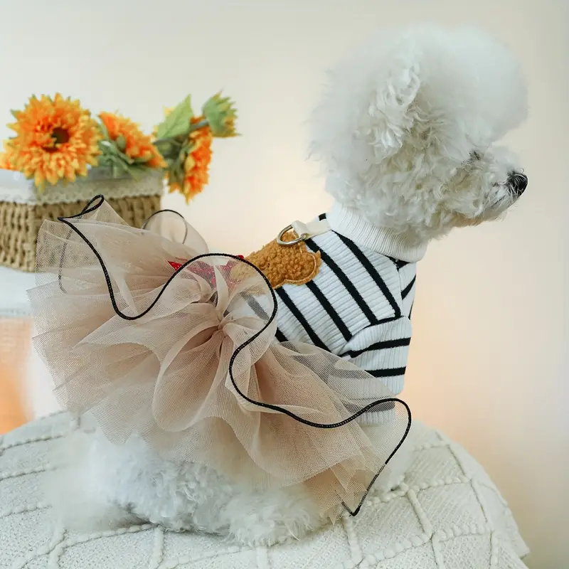 Teddy Bear Dress