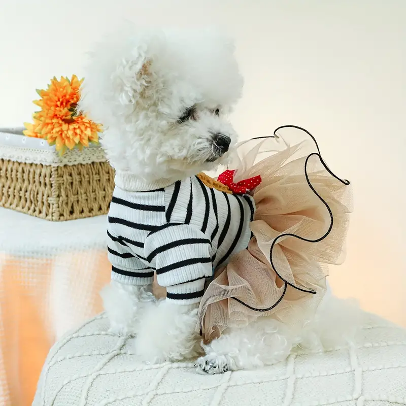 Teddy Bear Dress