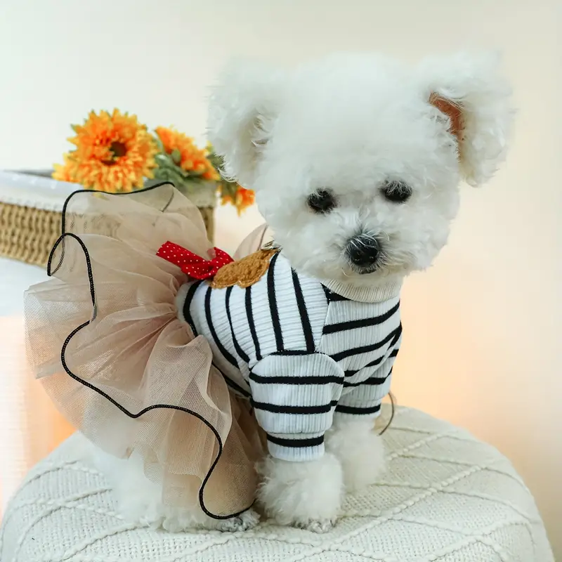 Teddy Bear Dress