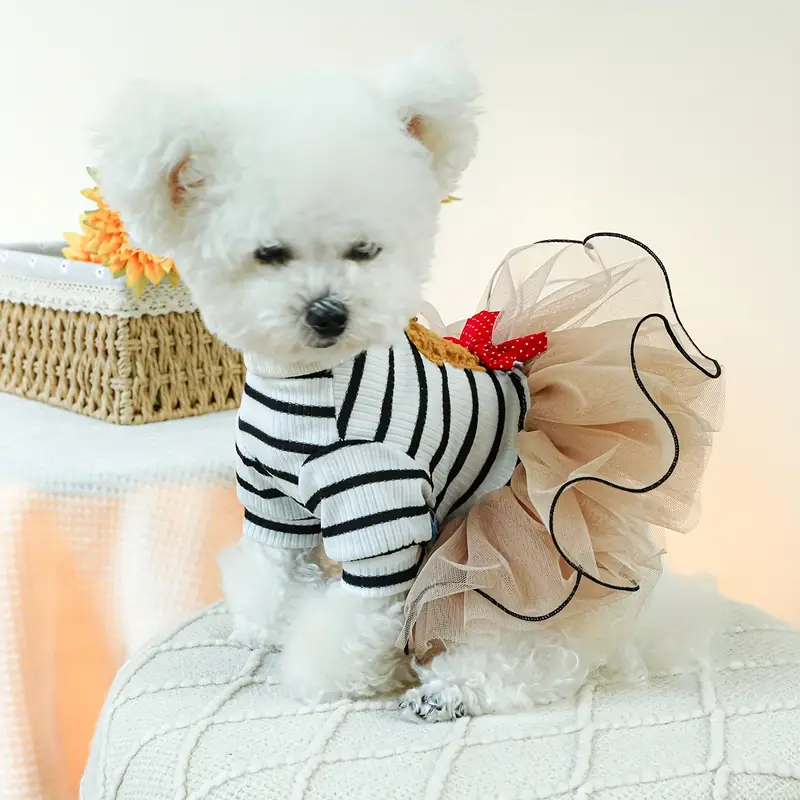 Teddy Bear Dress