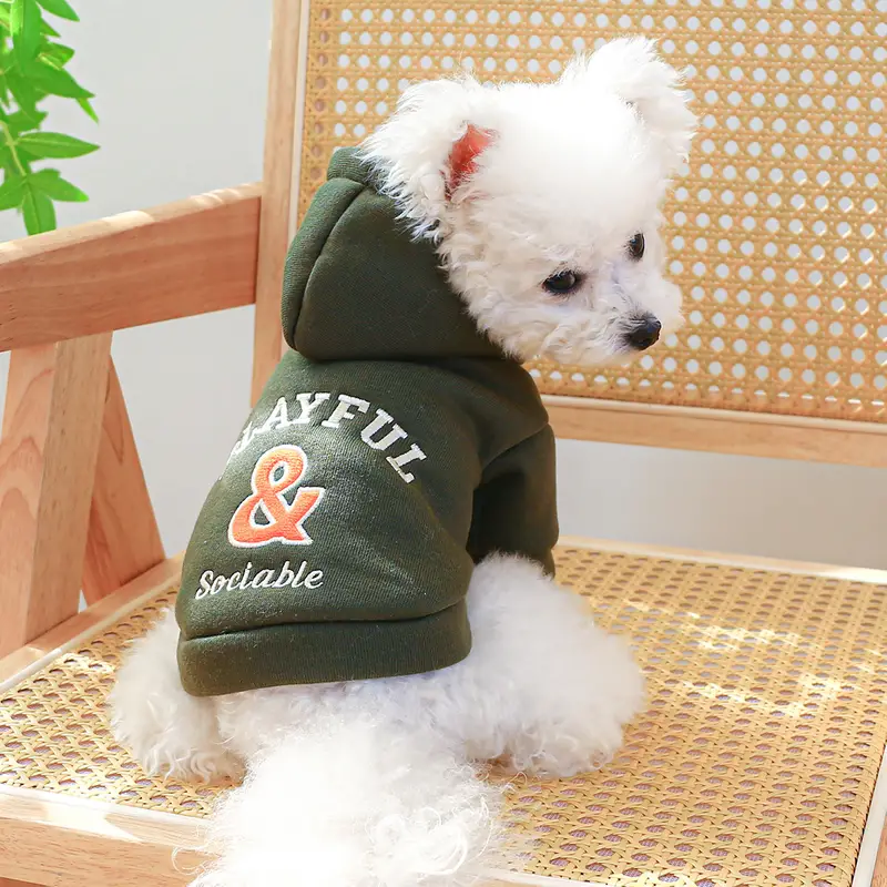 Playful Hoodie