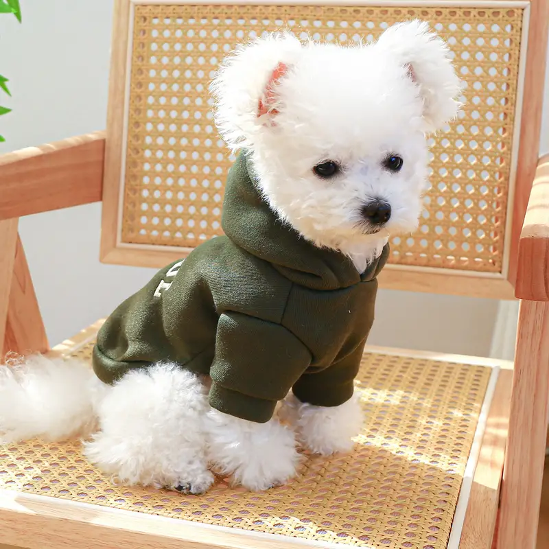 Playful Hoodie