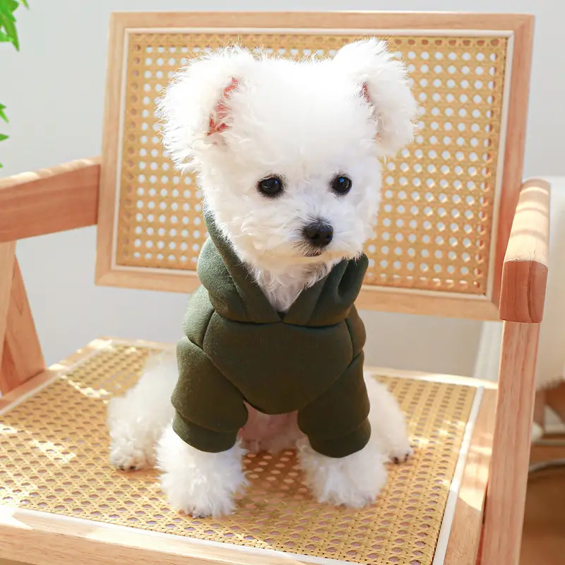 Playful Hoodie