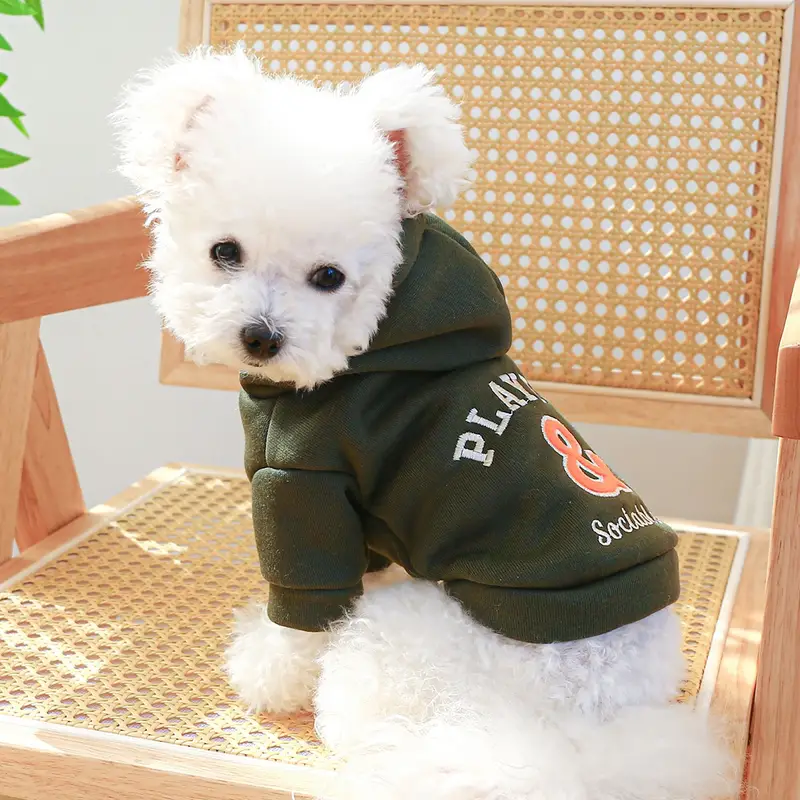 Playful Hoodie