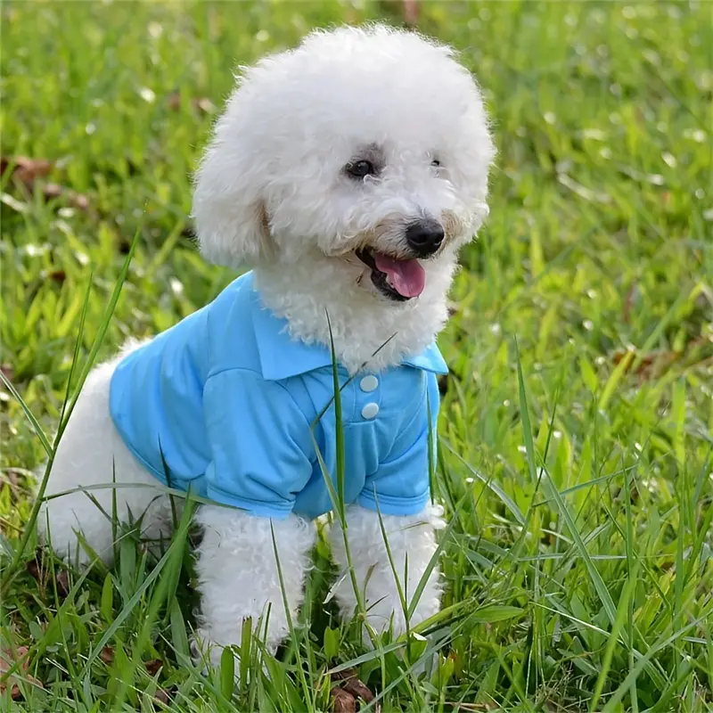 The Polo Shirt