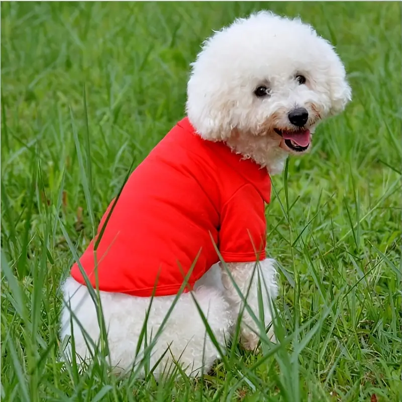 The Polo Shirt