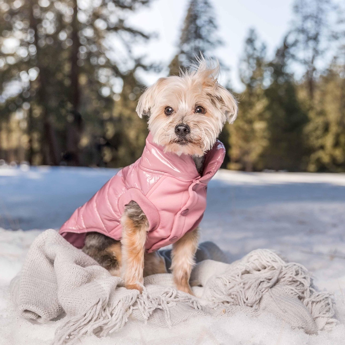 Quilted Glossy Puffer Jacket