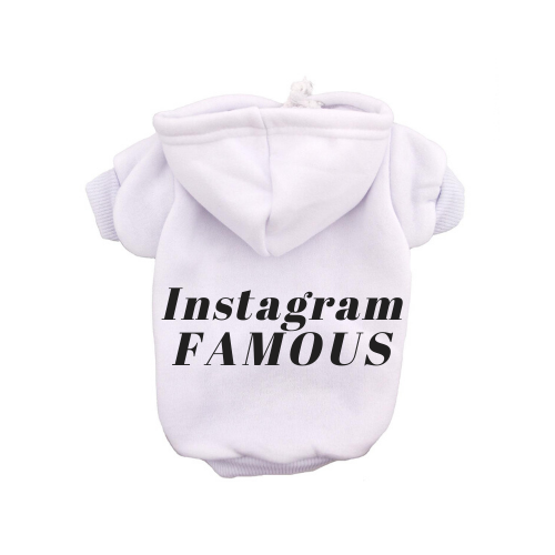 IG Famous Hoodie