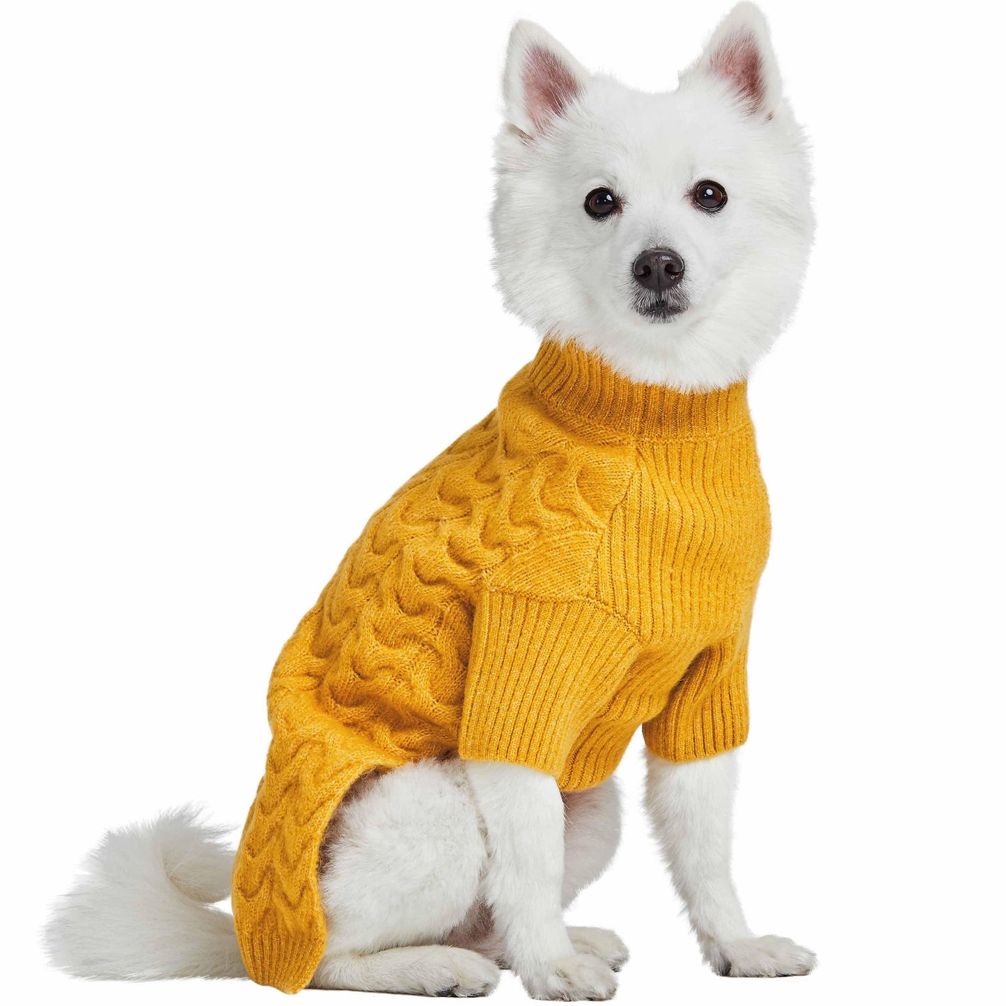 Mustard Yellow Turtleneck Sweater
