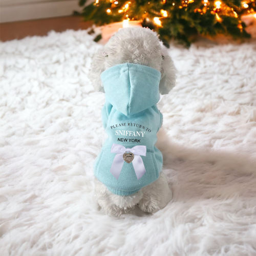 Sniffany Pocket Hoodie
