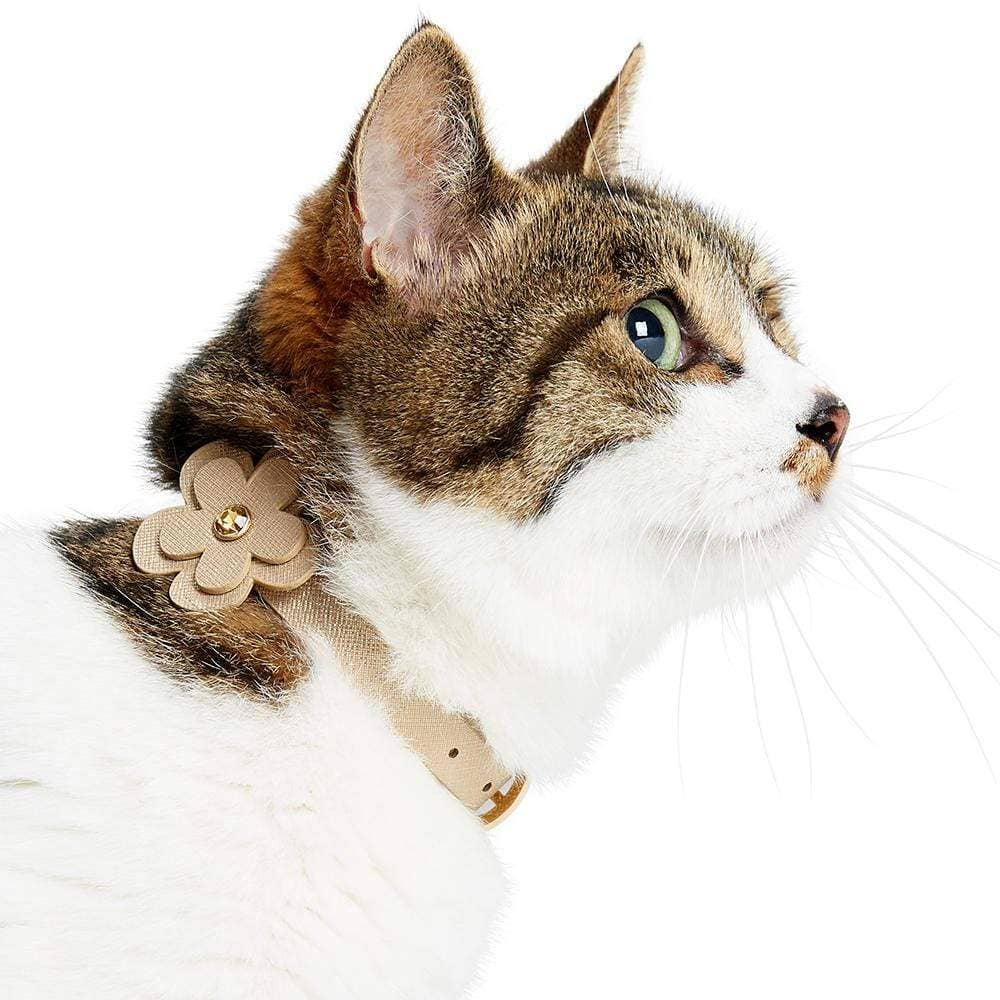Gold Leather Cat Collar