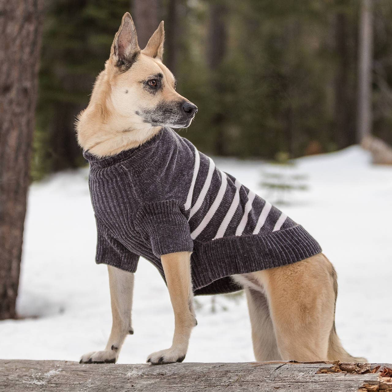 Chenille Classy Gray Striped Sweater