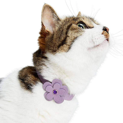 Purple Leather Cat Collar