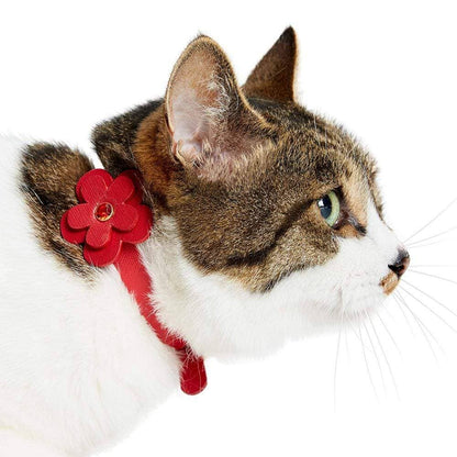 Red Leather Cat Collar
