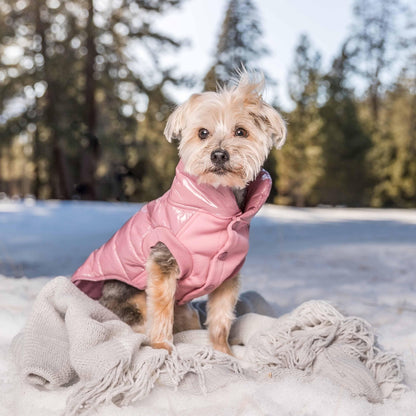 Quilted Glossy Puffer Jacket