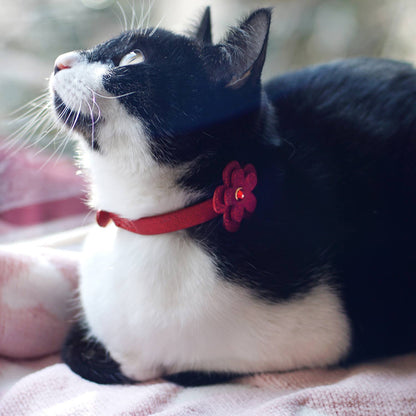 Red Leather Cat Collar