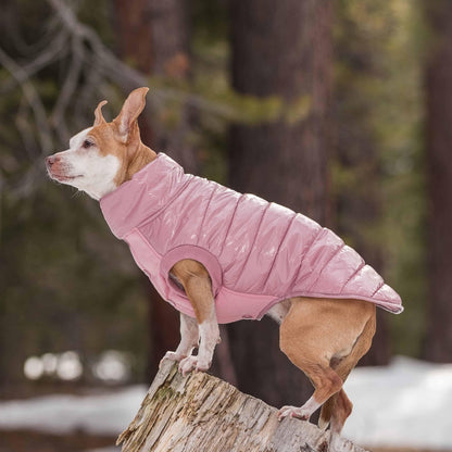 Quilted Glossy Puffer Jacket