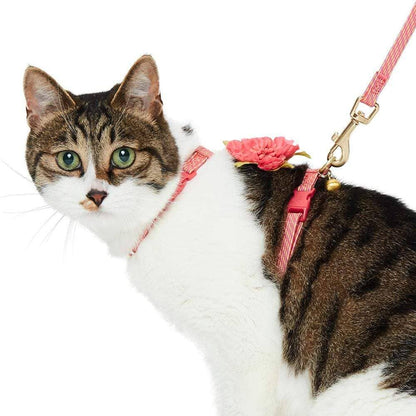 Cat Adventure Leash & Harness Set